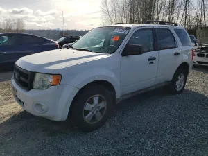 2010 FORD ESCAPE