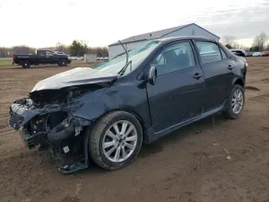 2010 TOYOTA COROLLA