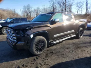2024 TOYOTA TUNDRA
