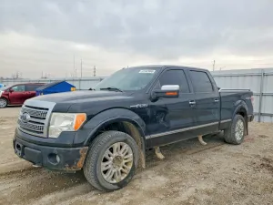 2010 FORD F150