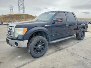 2010 FORD F150