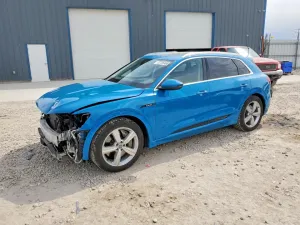 2019 AUDI E-TRON