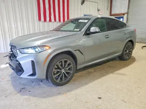 2025 BMW X6