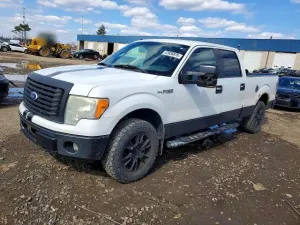 2010 FORD F150