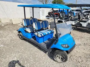 2021 GOLF CART RECREATION
