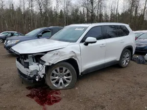 2024 TOYOTA ALL OTHER