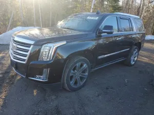 2019 CADILLAC ESCALADE