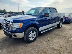 2010 FORD F150