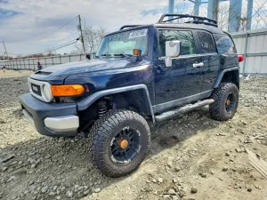 2010 TOYOTA FJ CRUISER