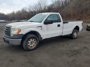 2010 FORD F150