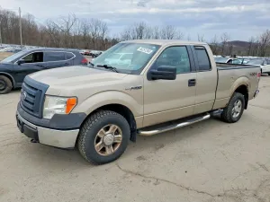 2009 FORD F150