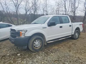 2019 FORD F150