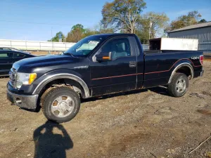 2013 FORD F150