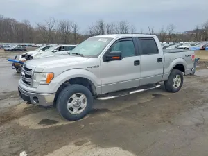 2014 FORD F150