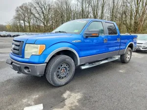 2009 FORD F150