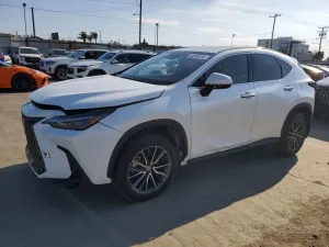 2024 LEXUS NX