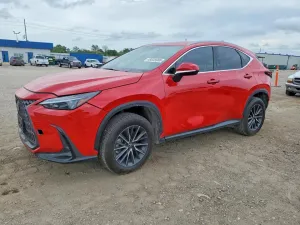 2024 LEXUS NX