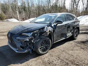 2020 LEXUS NX 300 F S