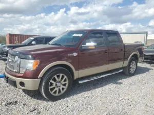 2009 FORD F-150