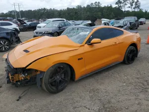 2019 FORD MUSTANG