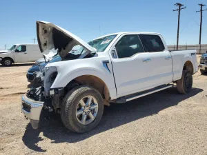 2024 FORD All Models