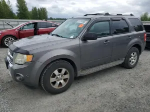 2010 FORD ESCAPE