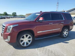 2019 CADILLAC ESCALADE