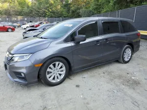 2019 HONDA All Models