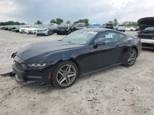 2024 FORD ALL Models