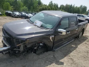 2024 FORD All Models