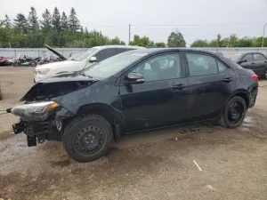 2019 TOYOTA COROLLA