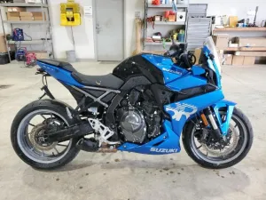 2024 SUZUKI GSX800 F