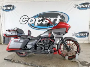 2019 HARLEY DAVIDSON FLSE