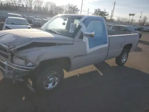 1995 DODGE All Models