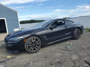 2024 BMW MOTORRAD M8