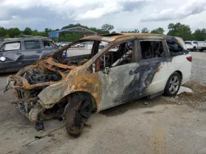 2019 HONDA All Models