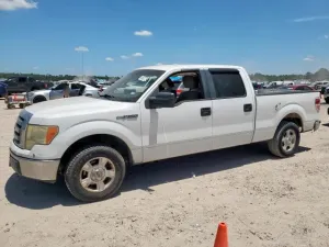 2009 FORD F-150