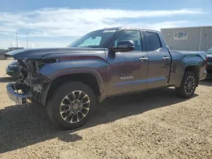 2022 TOYOTA TUNDRA