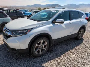 2019 HONDA CRV