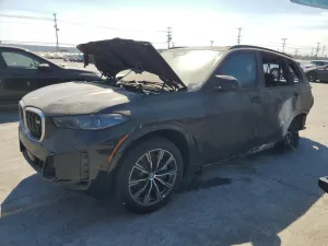 2025 BMW MOTORRAD X5 M60I