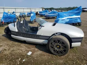 2018 VANDERHALL VENICE