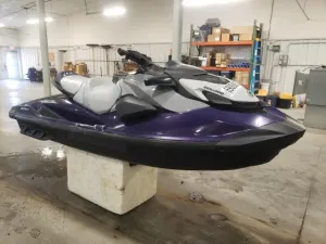 2025 SEADOO GTISE