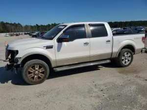 2010 FORD F-150