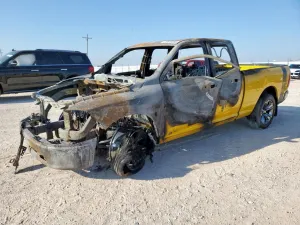 2009 DODGE All Models