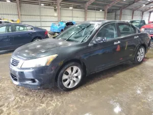2010 HONDA ACCORD