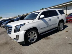 2019 CADILLAC ESCALADE