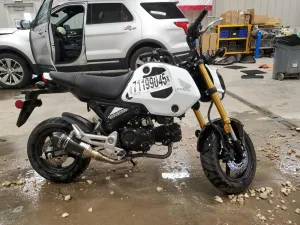 2024 HONDA GROM