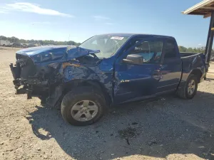 2009 DODGE All Models