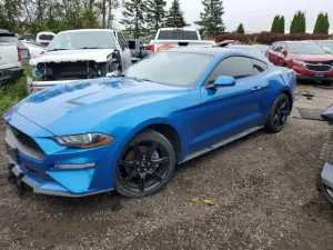 2019 FORD ALL Models