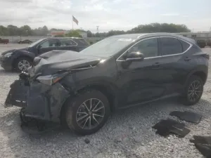 2025 LEXUS NX 250 BAS